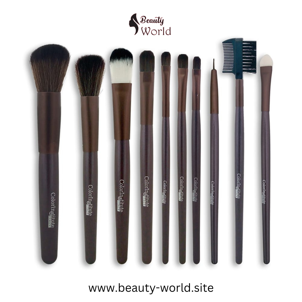 Color Institute 10-Piece Professional Makeup Brush Set